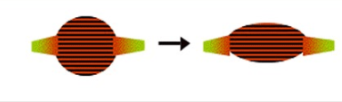 <p>Elasticity</p>