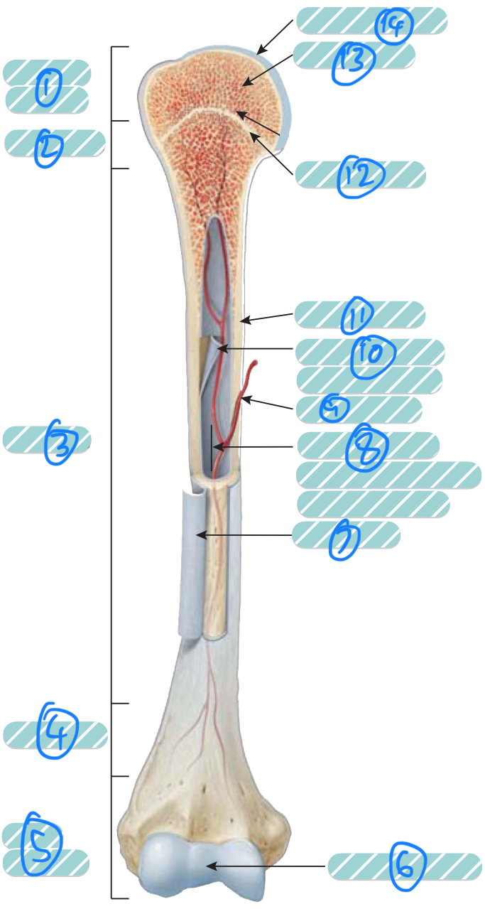 <p>What is the label 2 and 4?</p>