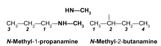 <p>alkanamines, -amine</p><p></p><p>N-</p>