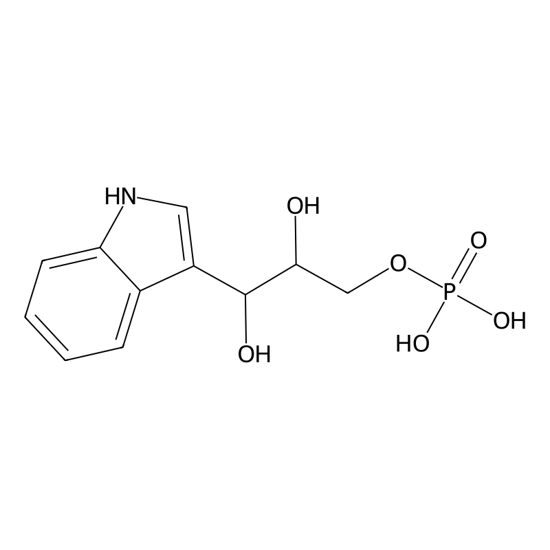<p>Glycerol phosphate / ATP</p>