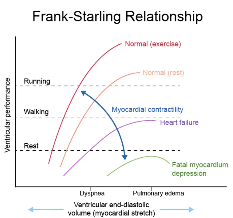 <p>Describe what is happening in this graph</p>