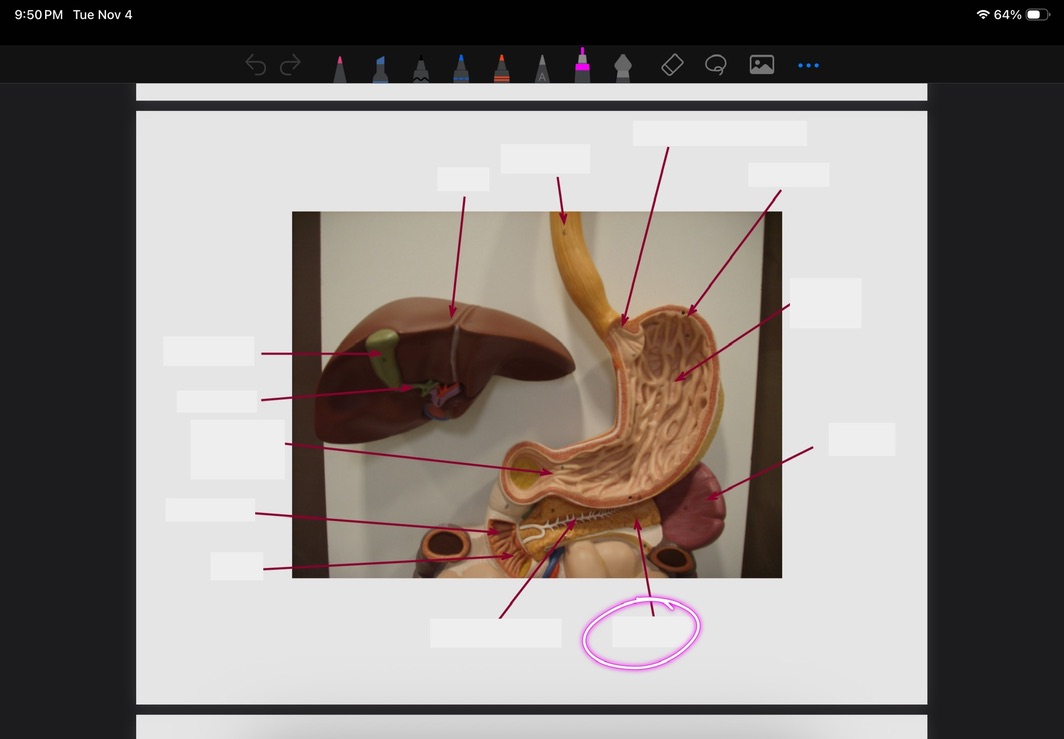 <p>What is this?</p>