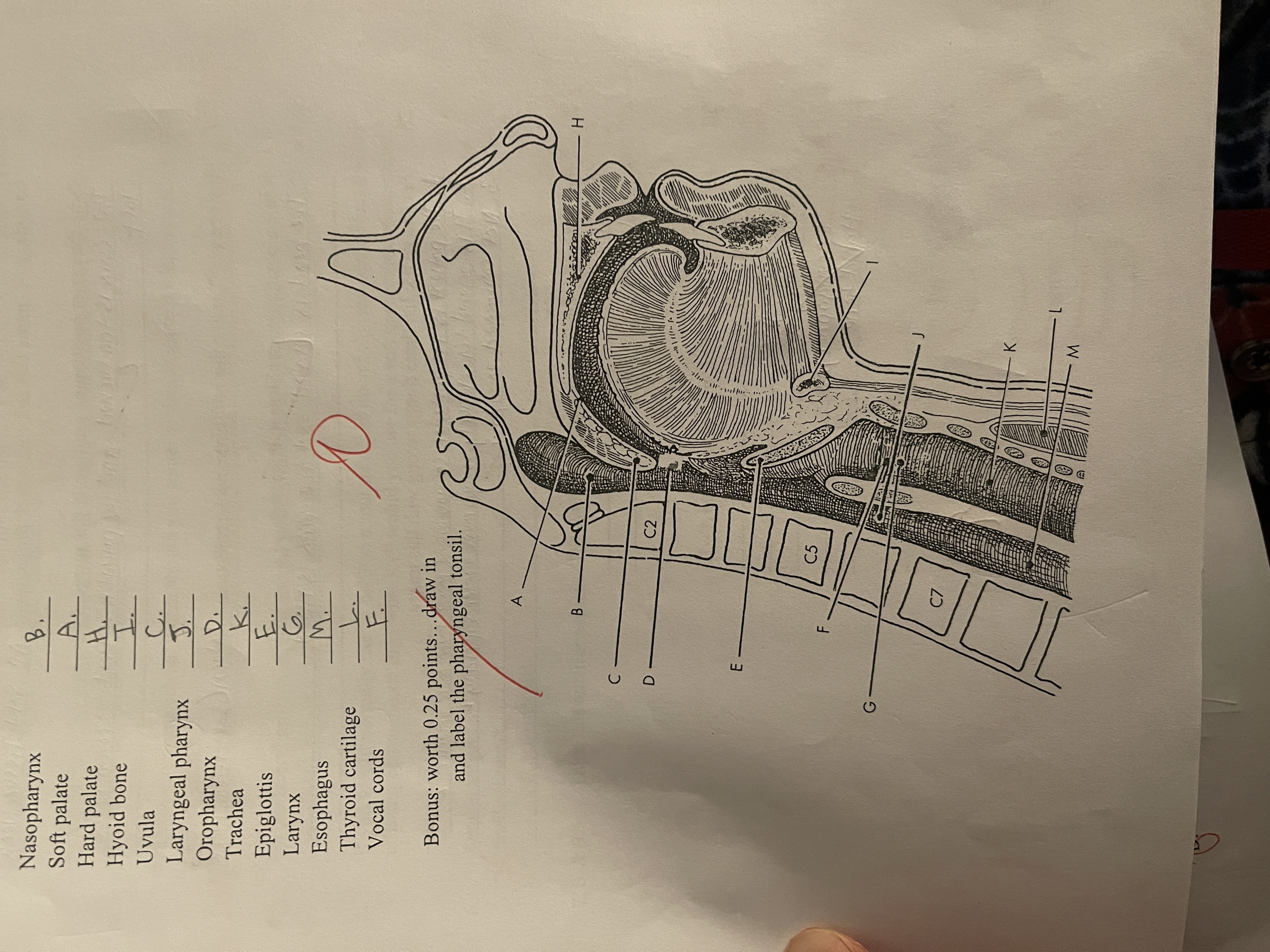 knowt flashcard image