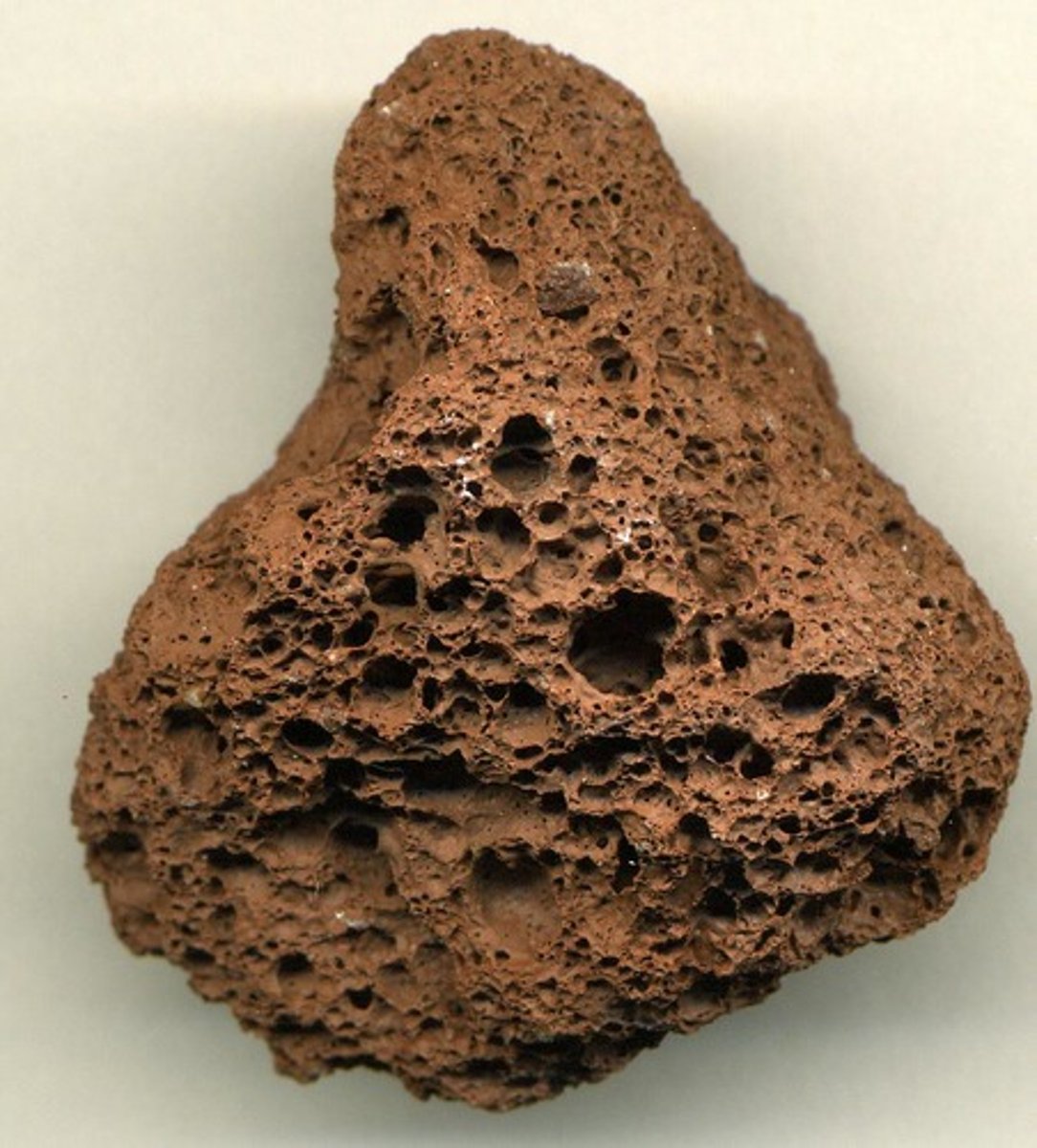 <p>-Lava contained large amounts of gas (like CO2 ). <br>-EXTRUSIVE texture</p>