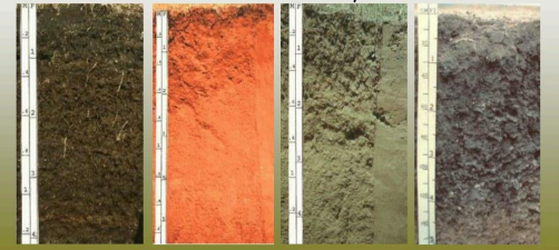 <ul><li><p>black-brown: high organic matter</p></li><li><p>red-orange: oxidized; high iron content</p></li><li><p>yellowish-white: rich in clay minerals</p></li><li><p>gray: high moisture</p></li></ul><p></p>