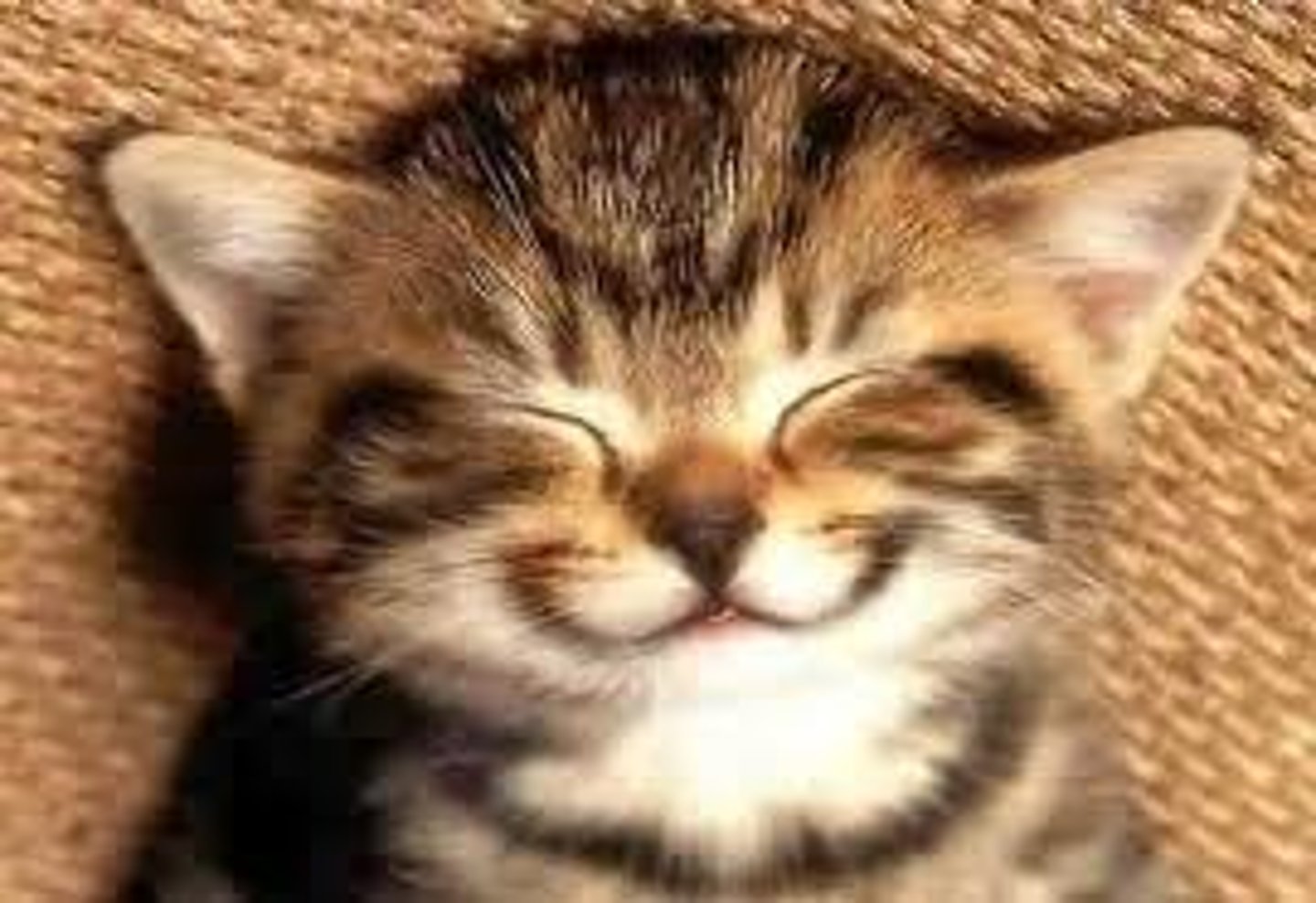 <p>very much enjoy doing sth</p>