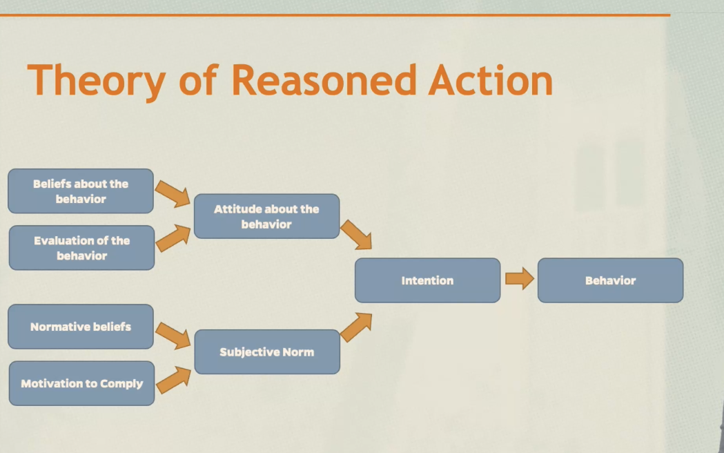 <p>theory of reasoned action</p>