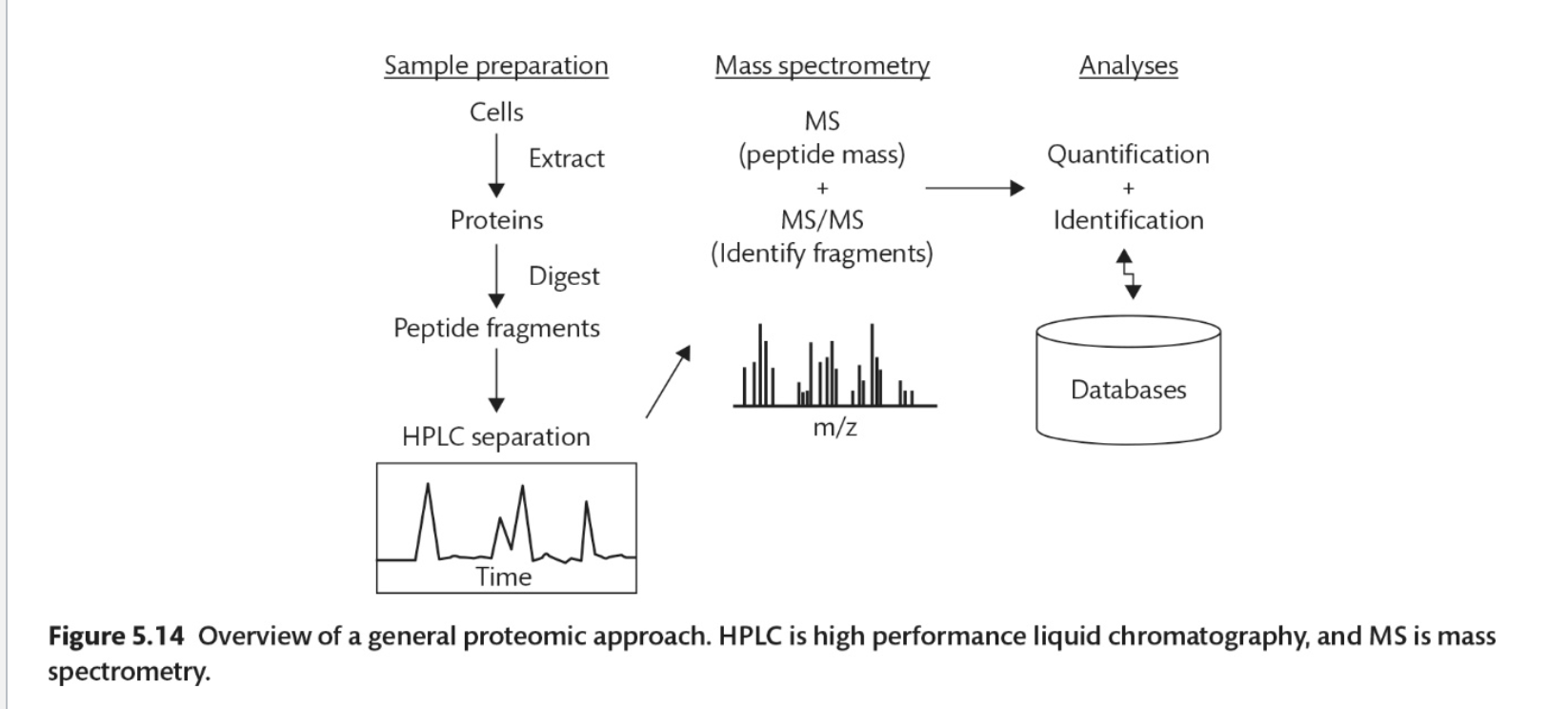 <p>Sample preparation, mass spec, analyses</p>