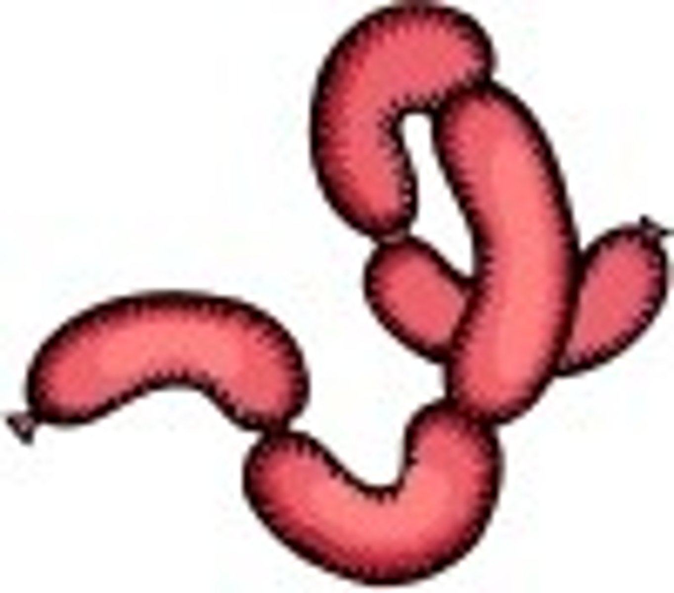 <p>un tipo de salchicha</p>
