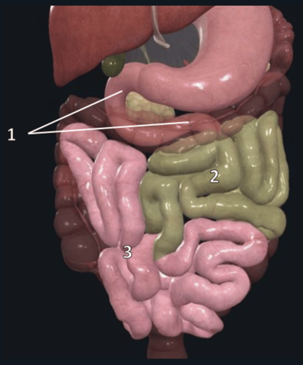 <p>2.</p>