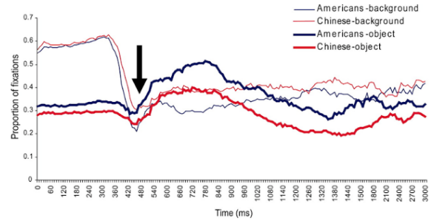 <ul><li><p>Chinese participants made more fixations on background details</p></li><li><p>Americans were quicker to fixate on the target object, though number of fixations on target object were the same for American + Chinese participants</p></li><li><p>when plotting proportion of fixations, no cultural differences are observed for the first 5 seconds, then split occurs</p></li></ul><p>shows initial wave of fixation + attention is the same, and only later do cultural differences change what we prioritise</p><p></p>