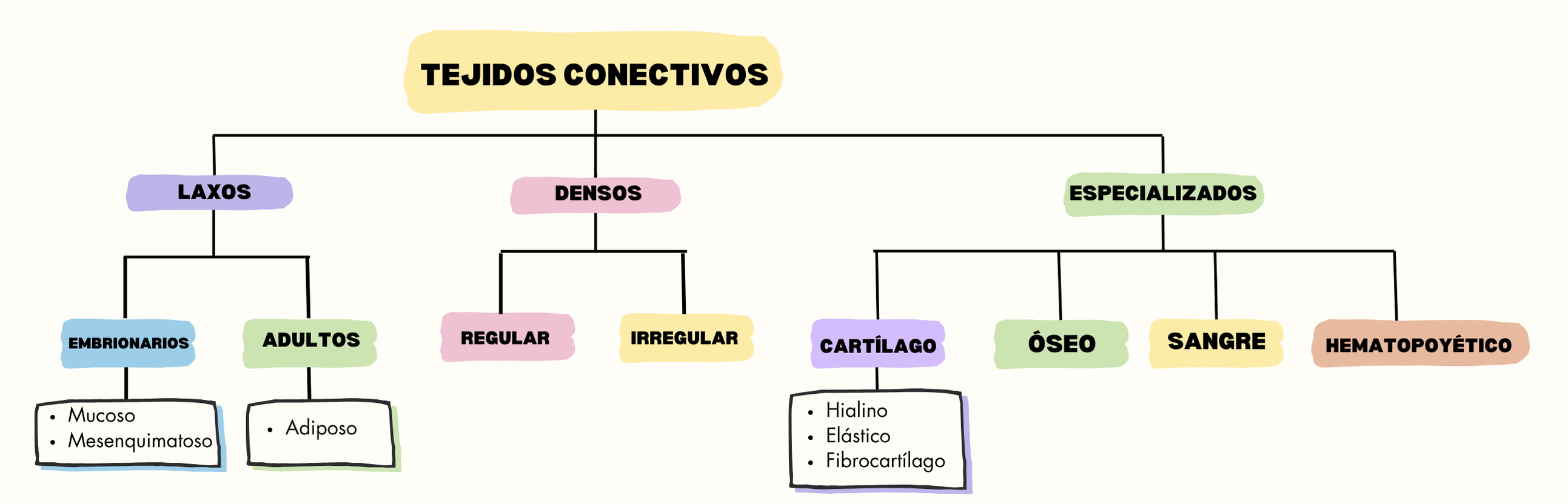<p><strong><mark data-color="yellow" style="background-color: yellow; color: inherit">Laxos</mark></strong></p><ul><li><p>Embrionarios</p><ul><li><p><em>Mucoso</em></p></li><li><p><em>Mesenquimatoso</em></p></li></ul></li><li><p>Adultos</p><ul><li><p><em>Adiposo</em></p></li></ul></li></ul><p></p><p></p><p><strong><mark data-color="yellow" style="background-color: yellow; color: inherit">Densos</mark></strong></p><ul><li><p>Regular</p></li><li><p>Irregular</p></li></ul><p></p><p></p><p><strong><mark data-color="yellow" style="background-color: yellow; color: inherit">Especializados</mark></strong></p><ul><li><p>Cartílago</p><ul><li><p><em>Hialino</em></p></li><li><p><em>Elástico</em></p></li><li><p><em>Fibrocartílago</em></p></li></ul></li><li><p>Óseo</p></li><li><p>Sangre</p></li><li><p>Hematopoyético</p></li></ul><p></p>