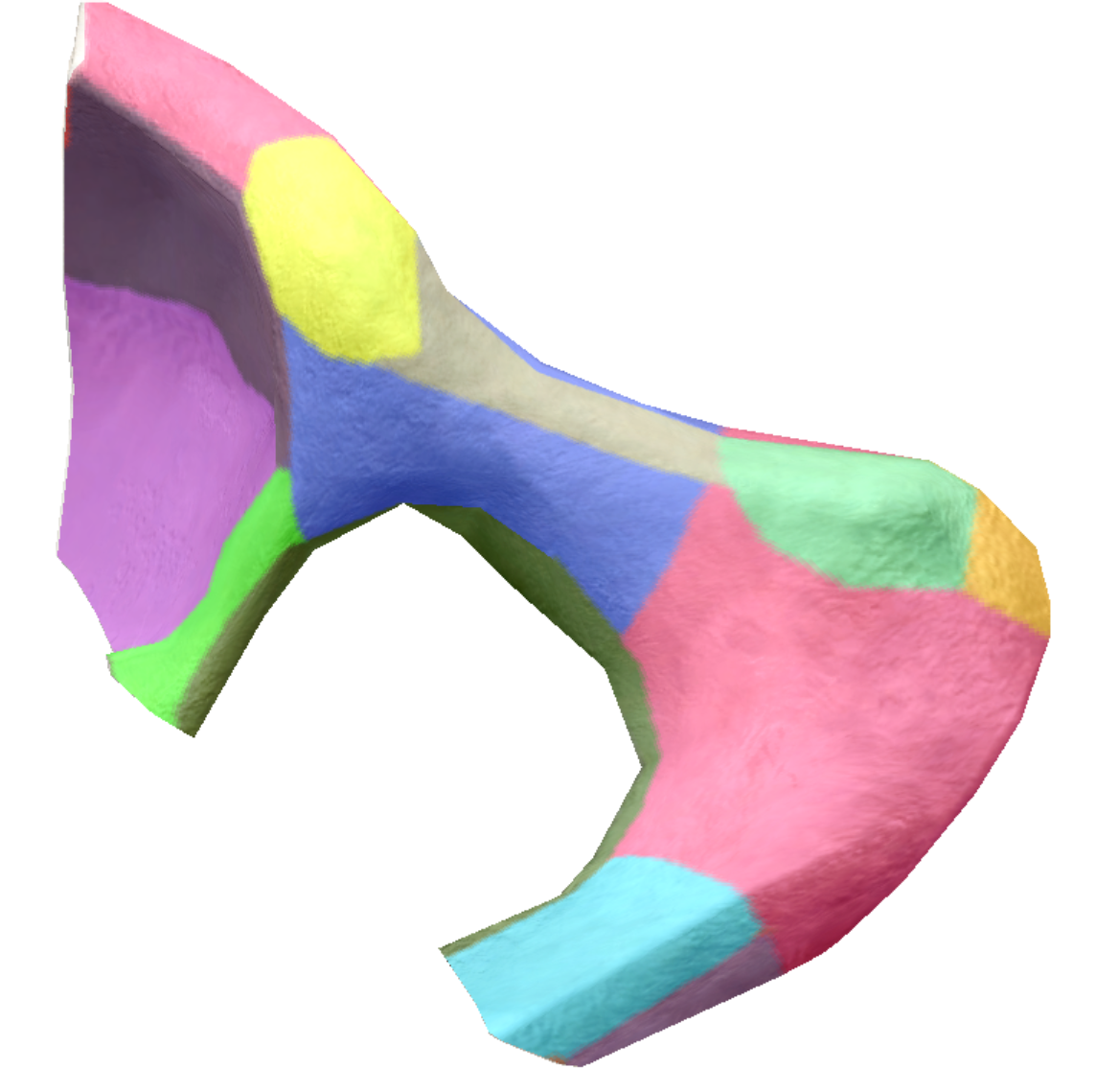 term image