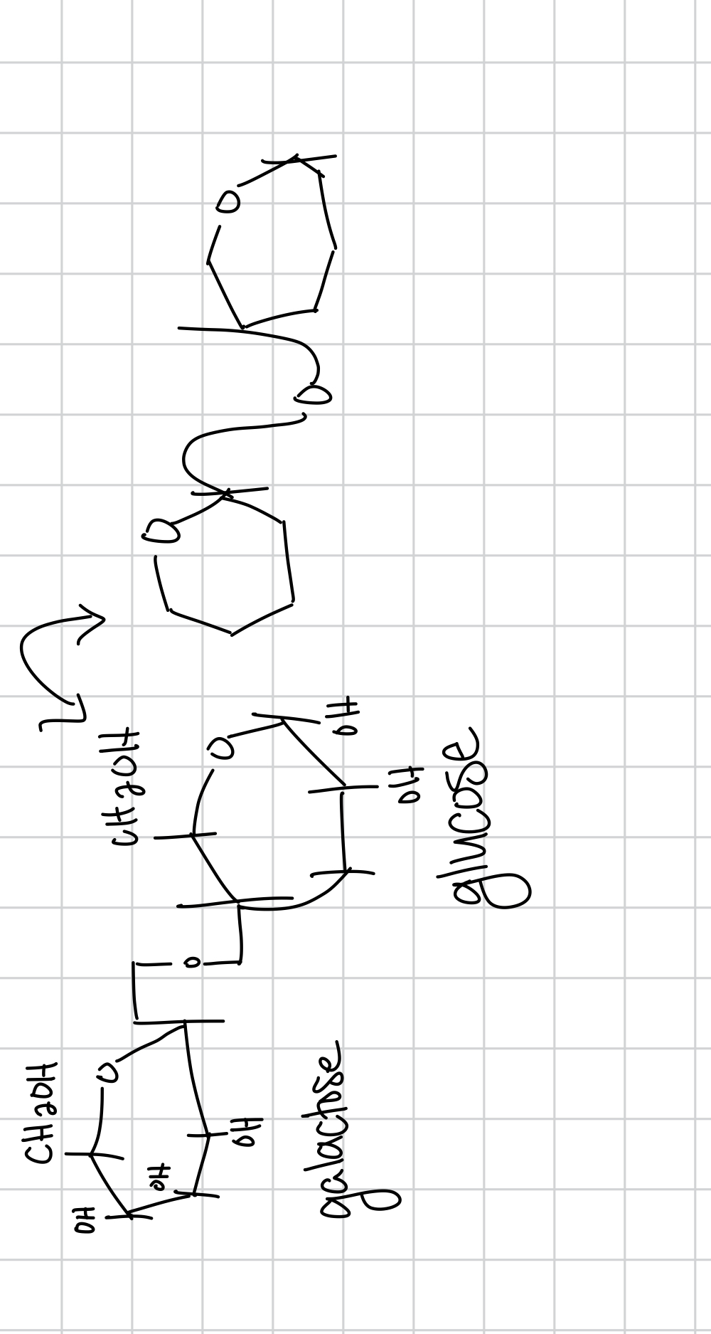 knowt flashcard image