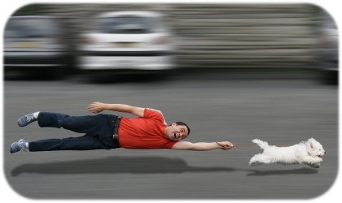 <p>vượt lên trước</p><p>ex: you need to work hard to get ahead of the competition</p>