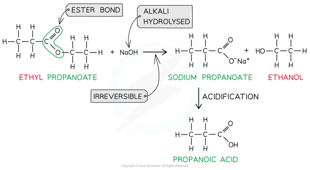 <p><strong>irreversible</strong> </p><p><strong>sodium</strong><span>&nbsp;</span><strong>carboxylate</strong><span>&nbsp;salt which needs further&nbsp;</span><strong>acidification</strong><span>&nbsp;to turn into a&nbsp;</span><strong>carboxylic</strong><span>&nbsp;</span><strong>acid</strong></p>
