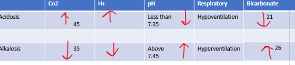 <p>•Range for pH of blood: 7.35 – 7.45</p><p>•PCO2 was 40mmHg, Range: 35-45</p><p>Bicarbonate range: 21-26 mEq/</p><p></p><p>higher co2 is ___________</p><p>higher bicarbonate is _______</p>