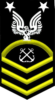 <p>gold fouled anchor behind silver USN with two silver stars</p>