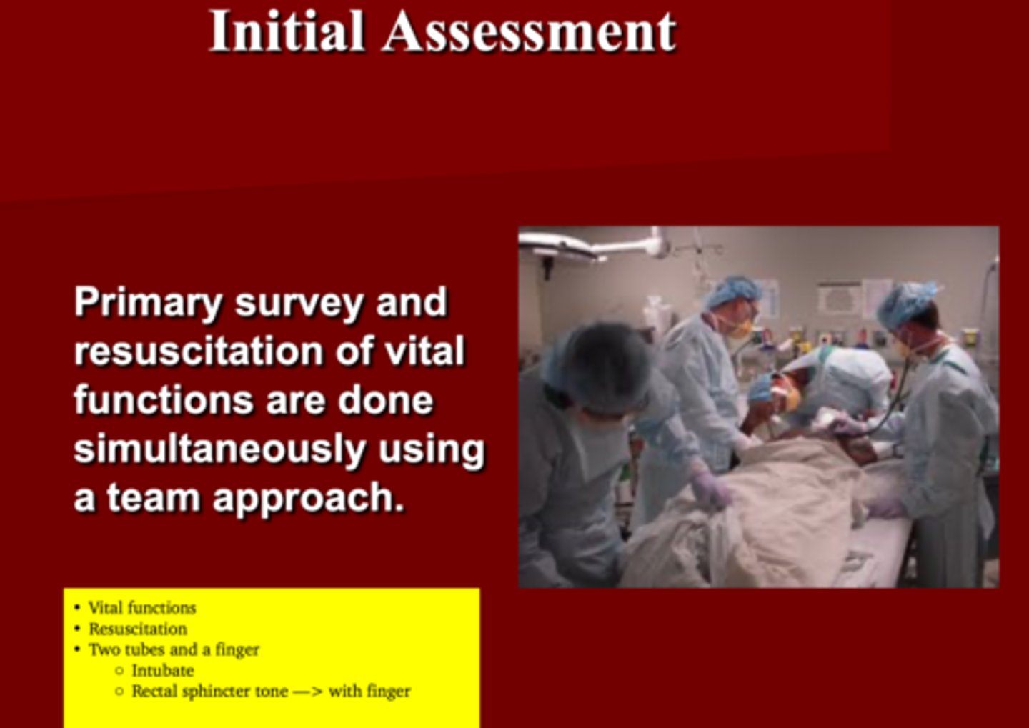 <p>1. Primary survey</p><p>2. Resuscitation</p><p>3. Team approach</p>