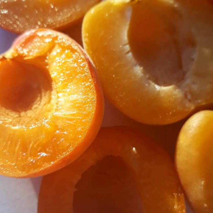 <p>Apricot</p>