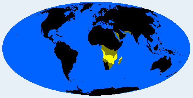 <p>Central Bantuid (Bantuid)</p>