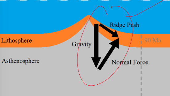 <p>it slides off the slope, pushing it away from the ridge </p>