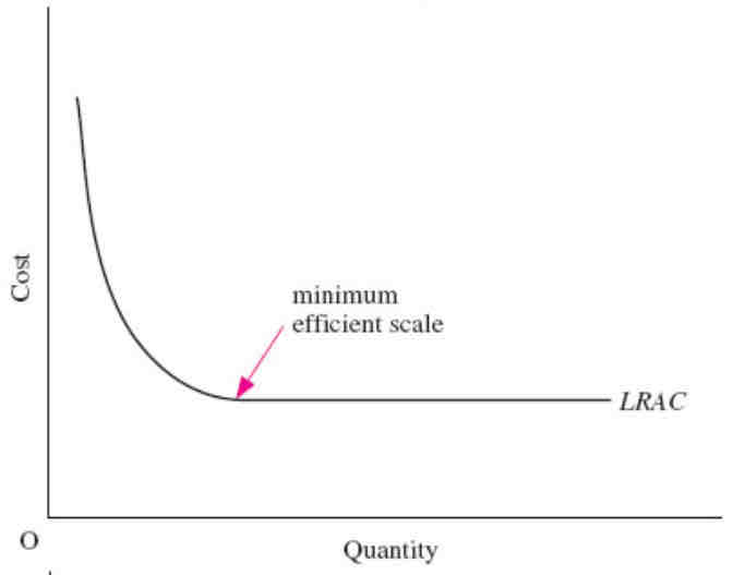 <p>What does a flat LRAC curve show?</p>