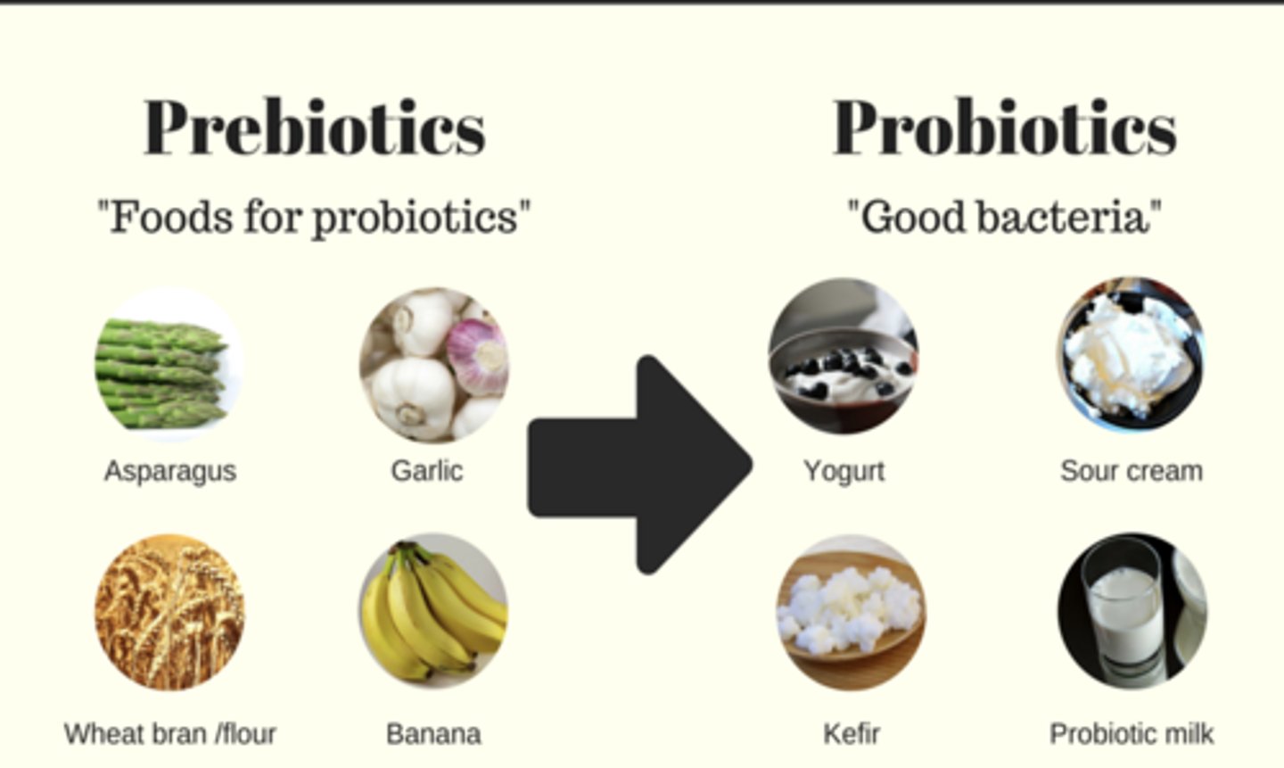 <p>prebiotics and probiotics</p>