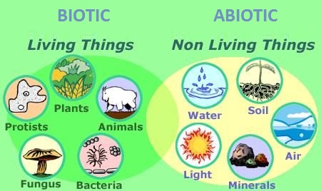 <p>Biotic factors __________ (work together) with non-living, or abiotic factors to <u>form a complete ecosystem.</u></p>