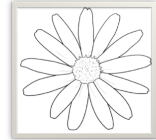 <p>identify the flower and the number of its petals</p>