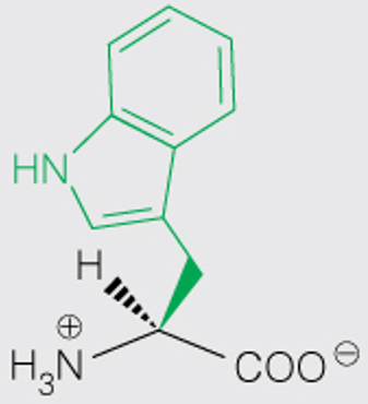 <p>3 Letter</p>