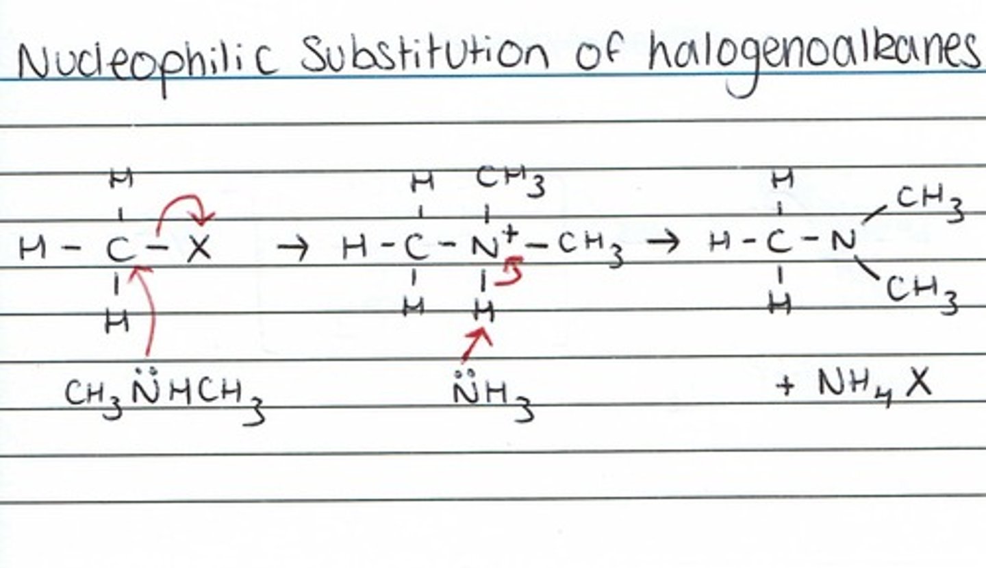 <p>amino acids are both carboxylic acids and amines, so</p><p>as a carboxylic acid:</p><p>-react with alcohol to ester (conc H2SO4)</p><p>(any amino acids eg serine which have alcohol groups can react with THEMSELVES!! to form esters so cool)</p><p>-nucleophillic addition elimination (used as the thing being added onto)</p><p>as an amine:</p><p>-react in nucleophillic substitution with halogenoalkanes, if haloalkane is in excess will produce a quarternary ammonium salt (cationic surfactant)</p><p>-nucleophillic addition elimination to form amide bonds (amine as nucleophile)</p>