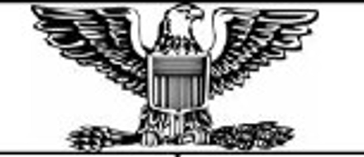 <p>Colonel O-# (Col)</p>