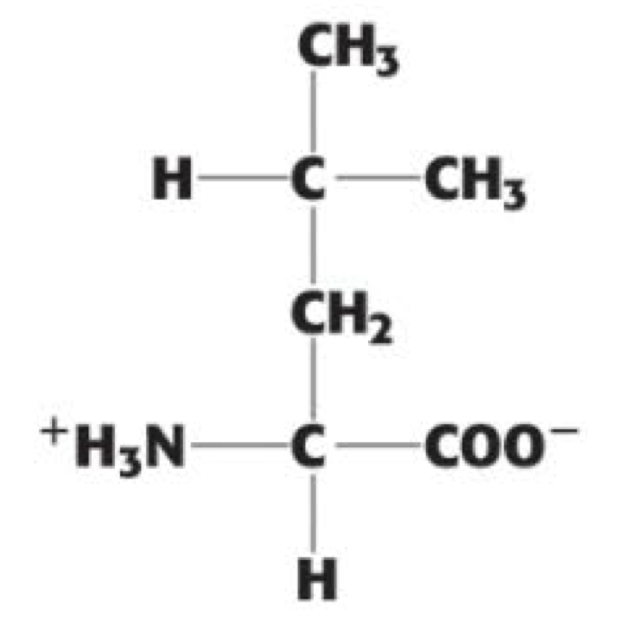 <p>(Leu, L). non-polar, aliphatic</p>