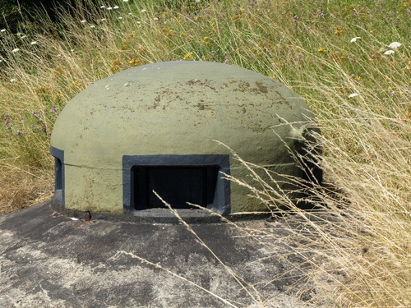 <p>Created by France after WW1, this fortifications along their eastern border was unsuccessful as Germans flew over and went around this defense system</p>
