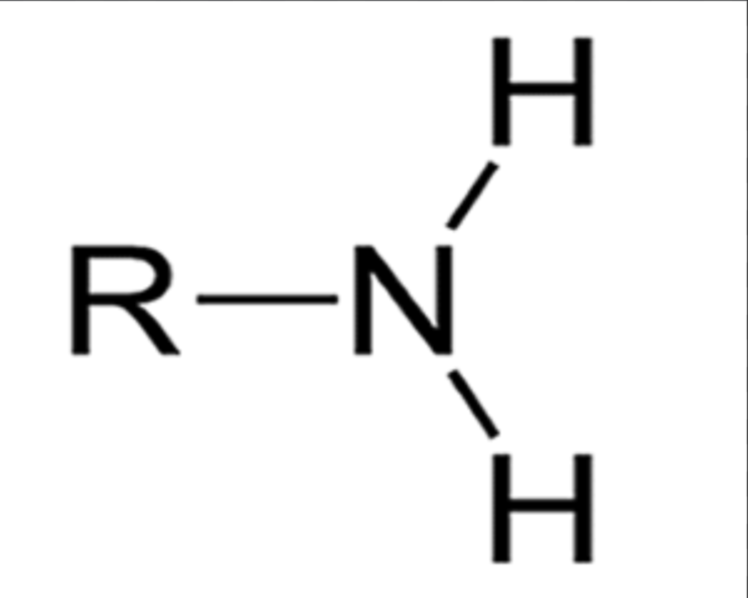 <p>Tends to be basic; proteins; (looking for H<sup>+</sup>)</p>