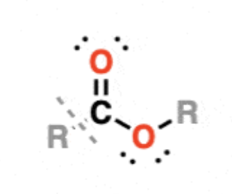 <p>R-CO<sub>2</sub>-R</p><p>Double Bond O</p>