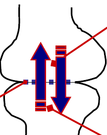 knowt flashcard image