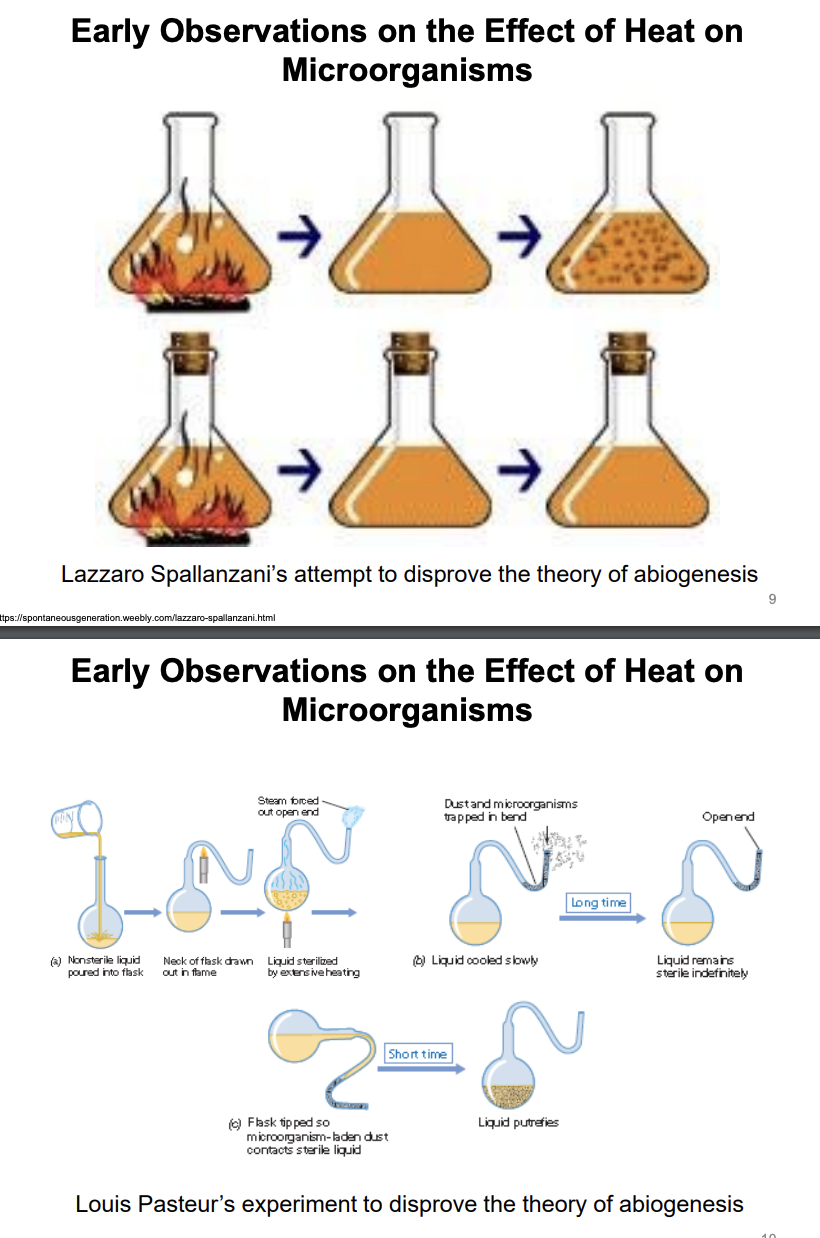 <p>Explain the early observations on the effect of heat on microorganisms</p>