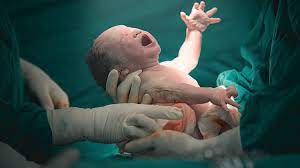 <p>Born</p>