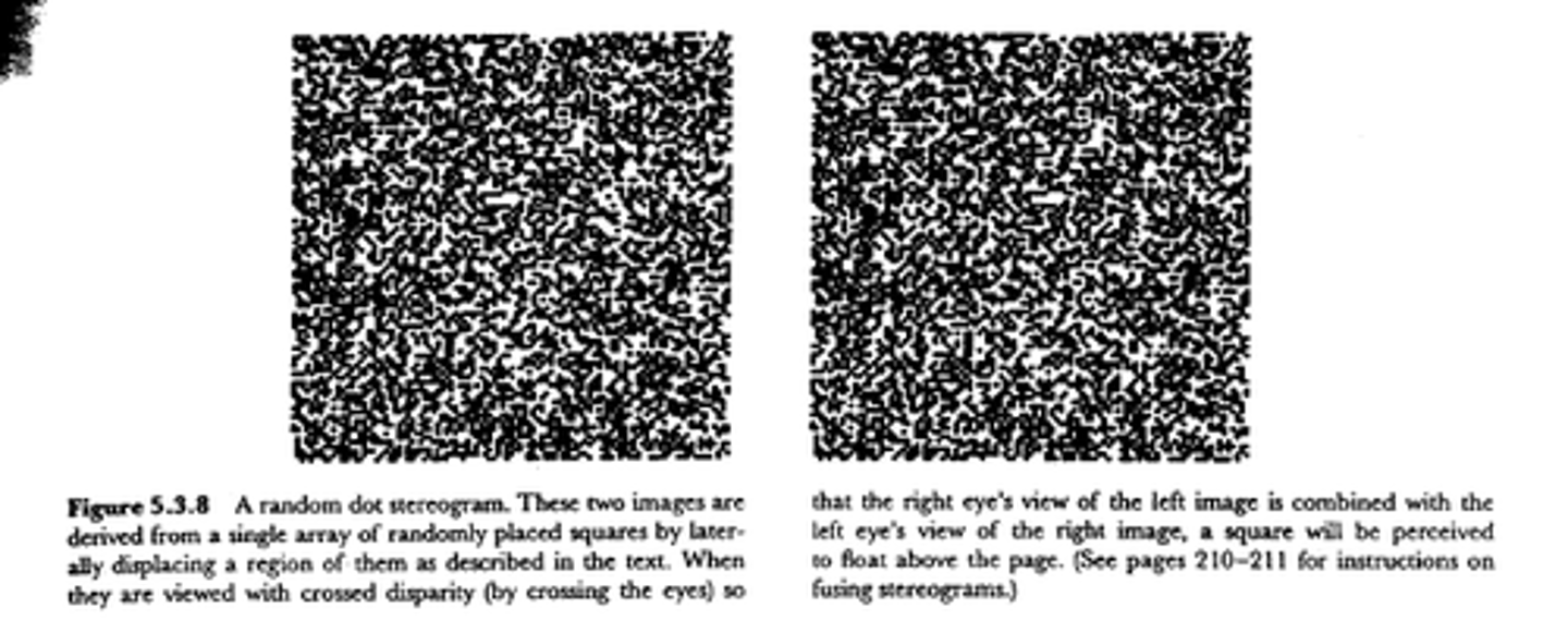 <p>A stereogram made of a large number of randomly placed dots.</p>