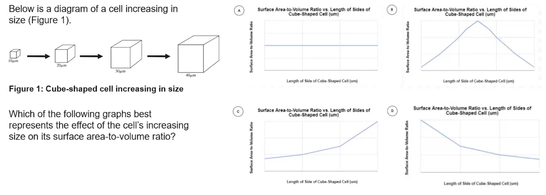 <p><span style="font-family: Arial-BoldMT; font-size: 14.67px;"><strong>What is the correct answer?</strong></span></p>