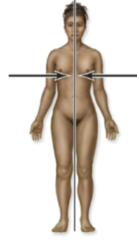 <p>toward middle of body</p>