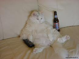 <p>Je me sens paresseux/euse feeling lazy</p>