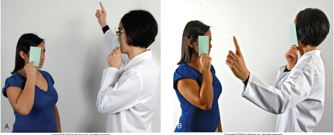 <p>A method to assess peripheral vision by comparing a patient's visual field with that of the examiner. </p>