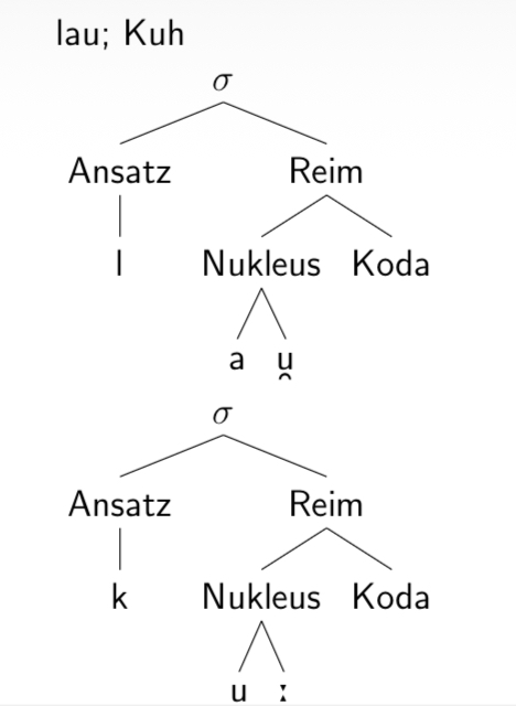 <p>Konstituenten der Silbe</p>