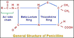 <p>What is the square part next to the house called?</p>