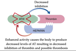 <p><span style="color: red">• Binds antithrombin (AT) </span>→ <span style="color: #eda7a7">induces conformational change</span><br>• Enhances AT inhibition of <strong>IIa, Xa, IXa, XIa, XIIa</strong>, and <strong>plasmin</strong><br><span style="color: red">• Heparin is not consumed </span>→ <span style="color: #f0bcbc">acts as a cofactor repeatedly</span><br>• ↓ circulating AT with prolonged use (feedback inhibition)</p>