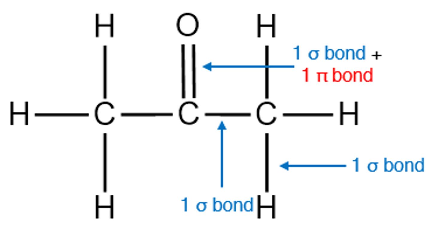 <p>1 sigmabindning</p>
