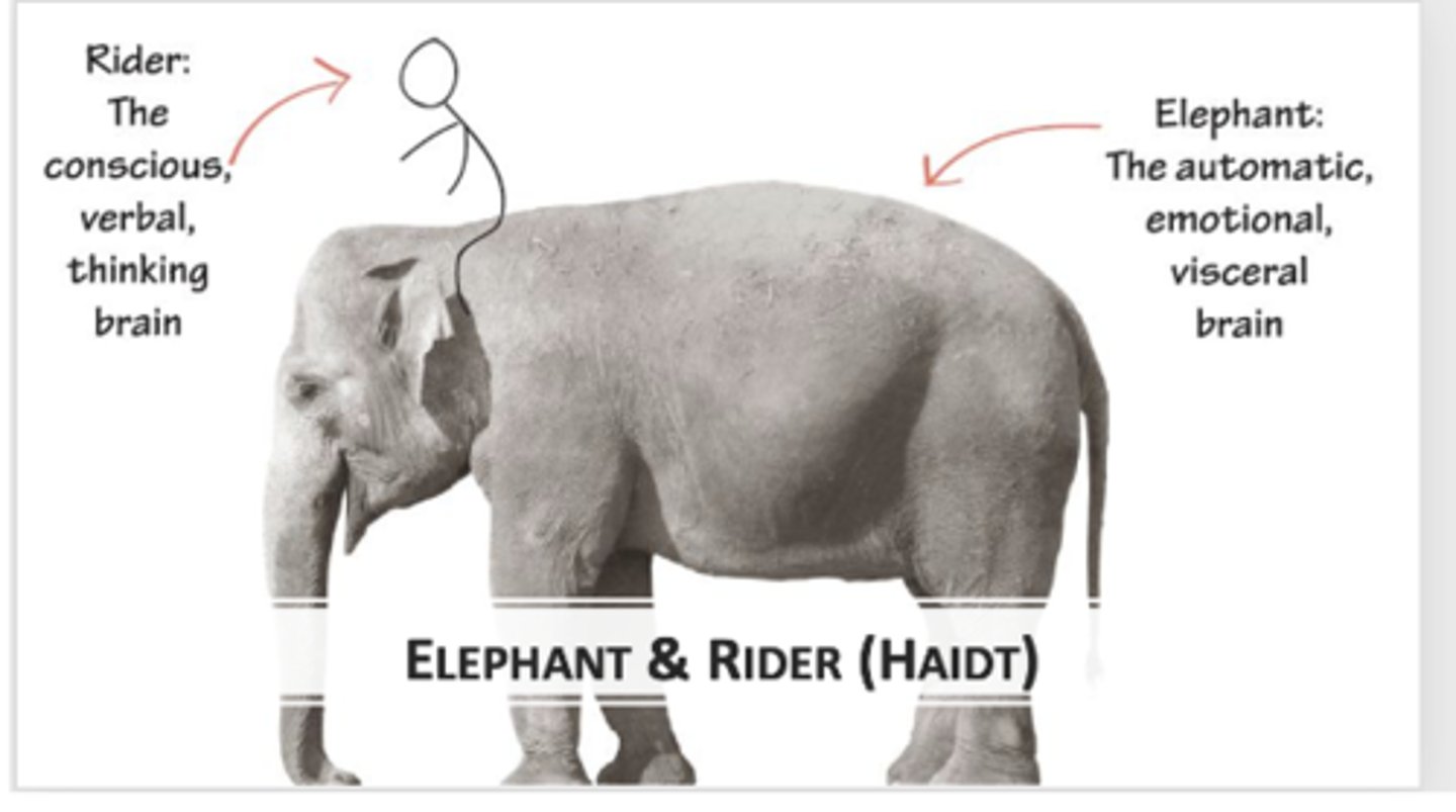 <p>The Rider and the Elephant is a metaphor by Jonathan Haidt that illustrates how our rational mind (the rider) tries to steer our powerful emotions and instincts (the elephant). While we believe we make decisions logically, it's often our emotions that lead, and reason follows to justify those choices.</p>